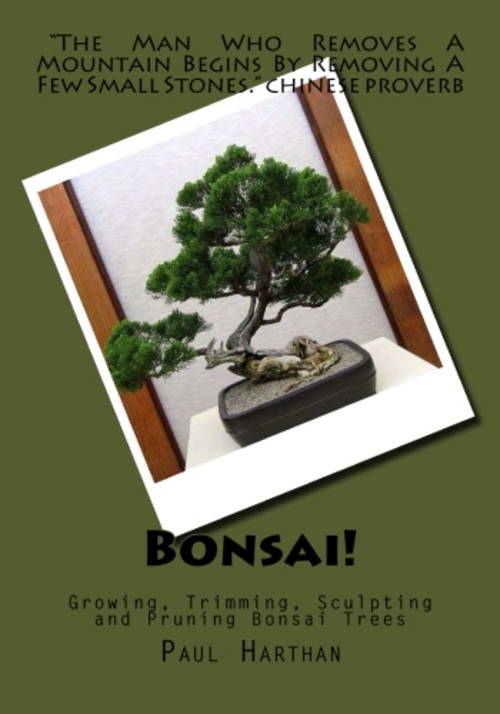 Product picture Bonsai